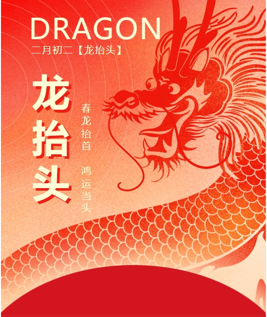 二月二龍抬頭，春龍振翅鴻運啟 —— 佳木斯網云信息科技有限公司與您共迎新春盛景