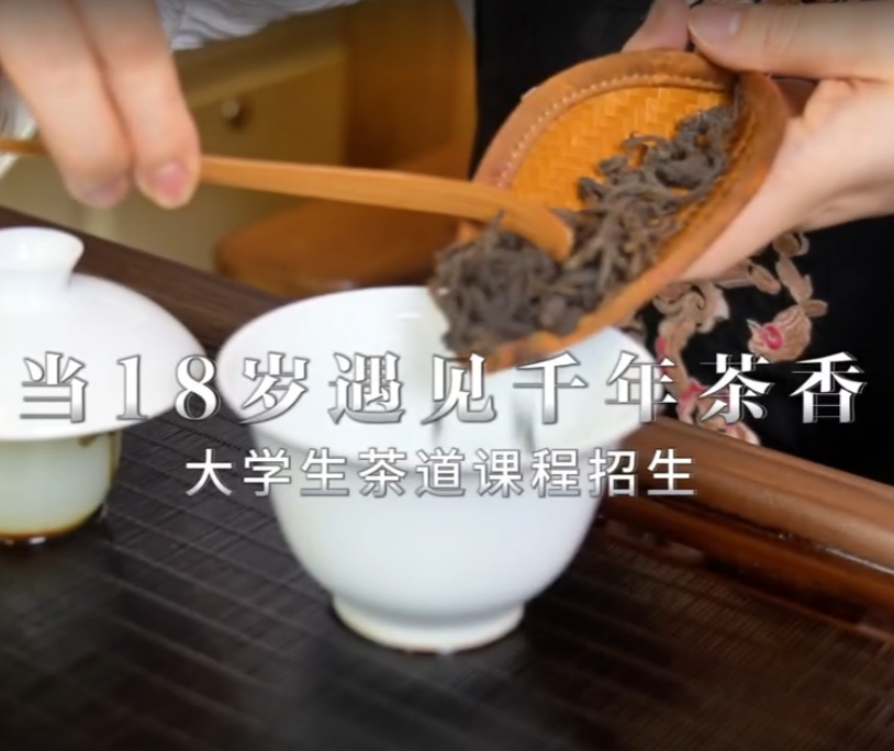 當18歲遇見千年茶香