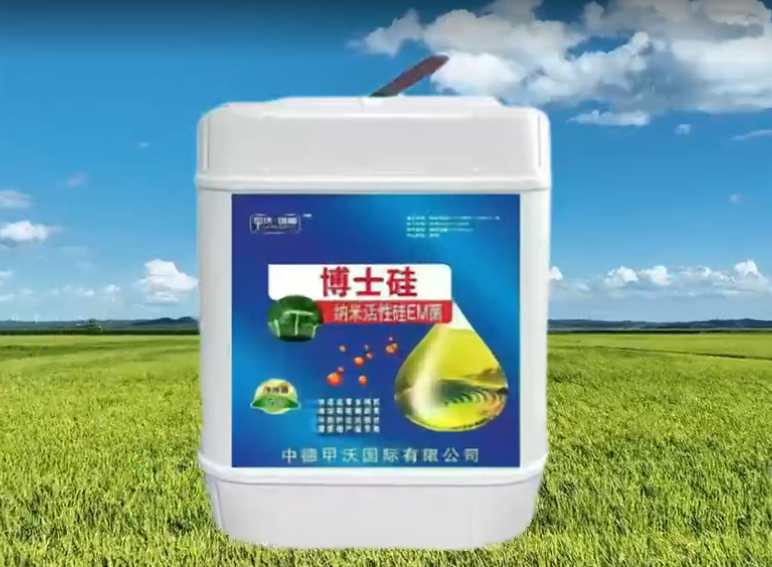 甲沃國際產品宣傳短視頻